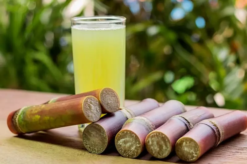 Receita: Caldo de Cana